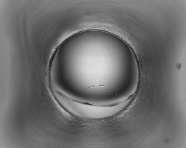 X0000094971525200711291452