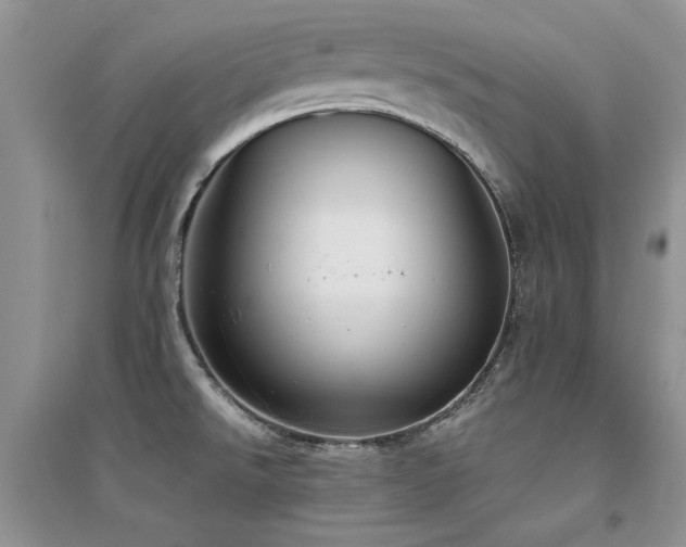 X0000094971526200711291452