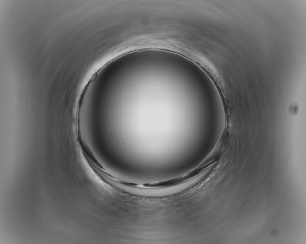 X0000094971528200711291452