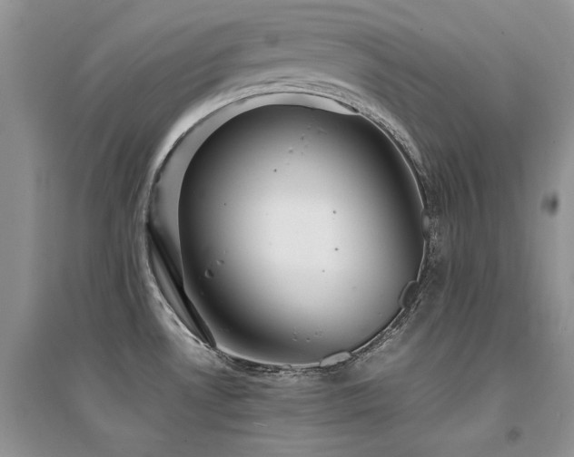 X0000094971530200711291452