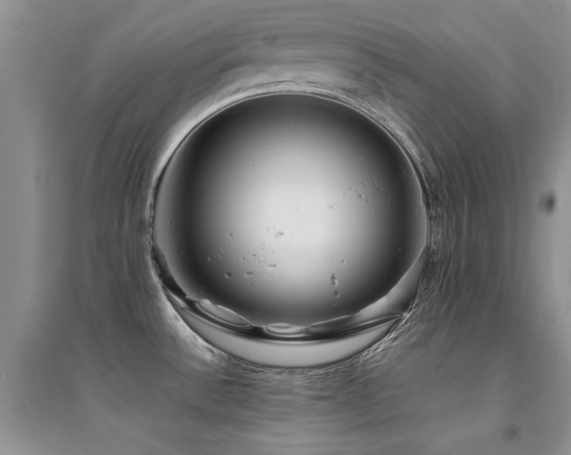 X0000094971532200711291452