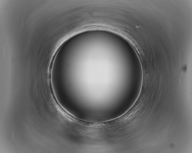 X0000094971535200711291452