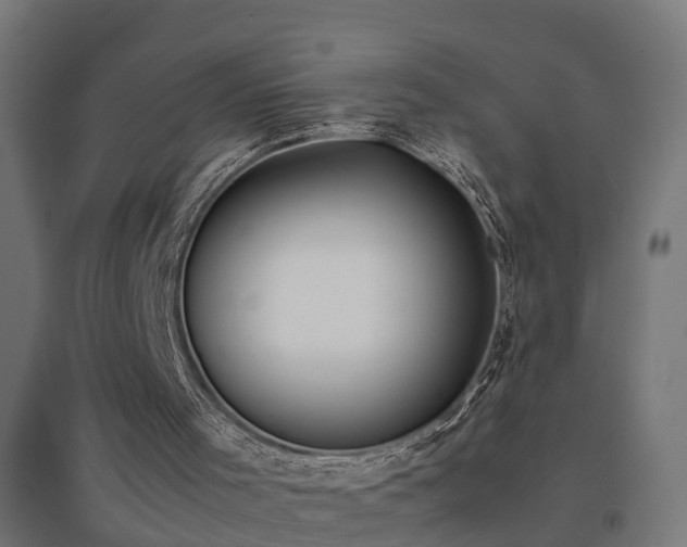 X0000094970001200712061439