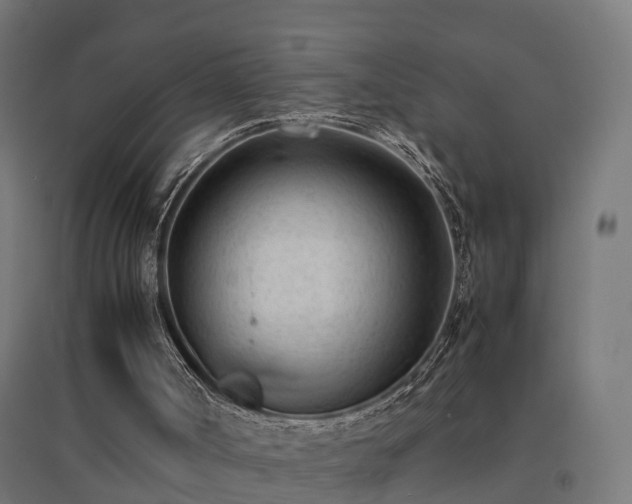 X0000094970002200712061439