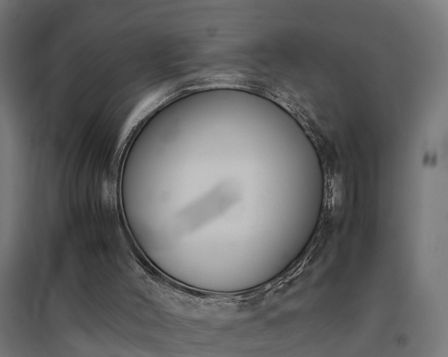 X0000094970004200712061439