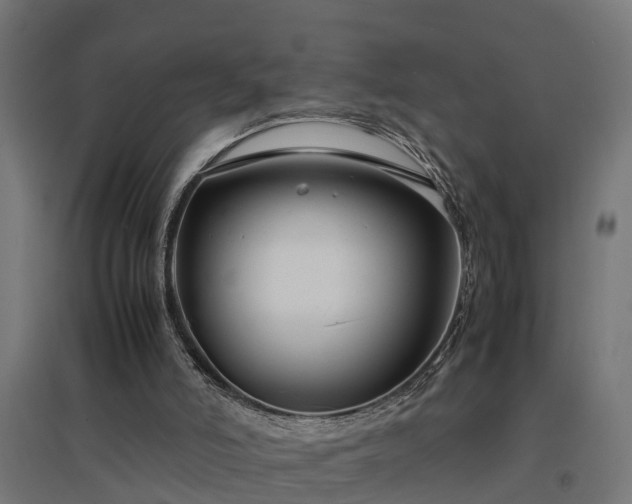 X0000094970006200712061439