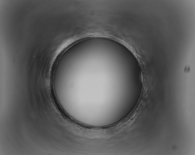 X0000094970008200712061439