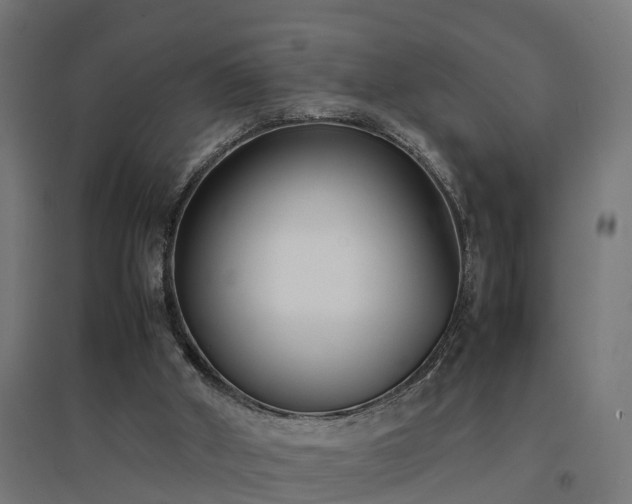 X0000094970010200712061439