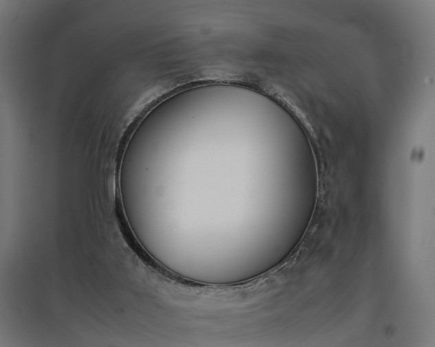 X0000094970011200712061439