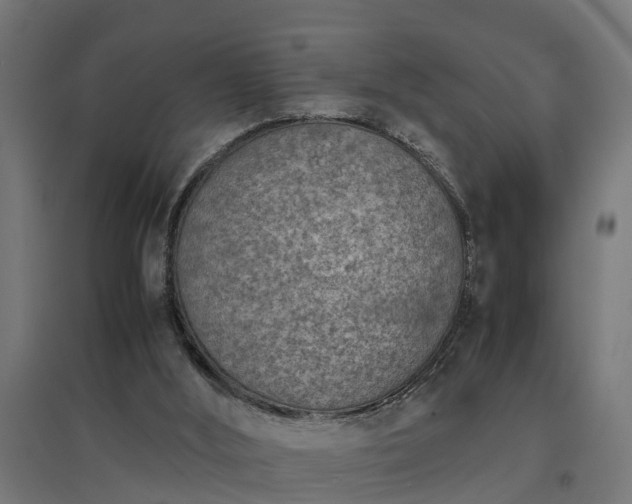 X0000094970012200712061439