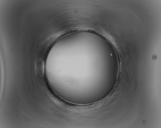 X0000094970013200712061439