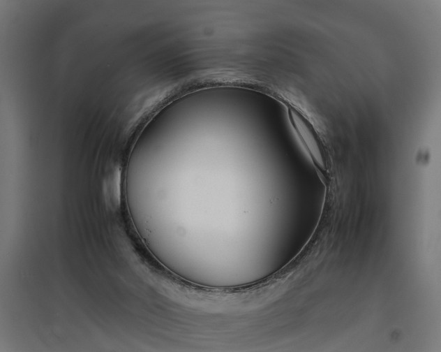 X0000094970014200712061439