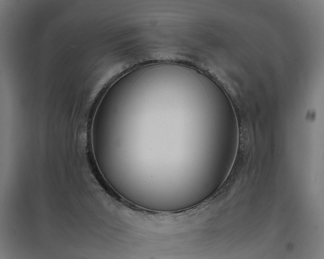 X0000094970015200712061439