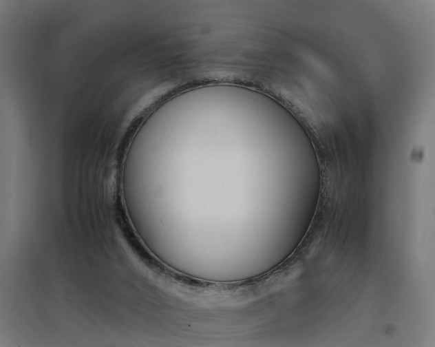 X0000094970016200712061439