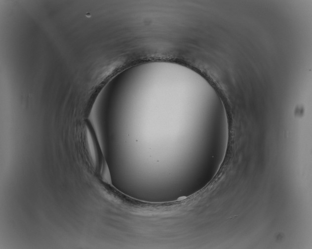 X0000094970017200712061439