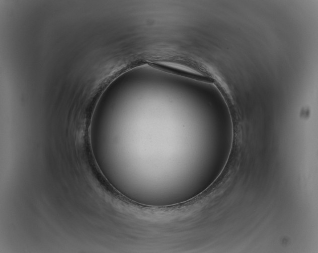 X0000094970018200712061439