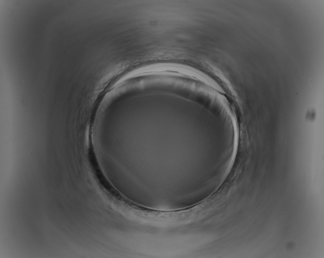 X0000094970019200712061439