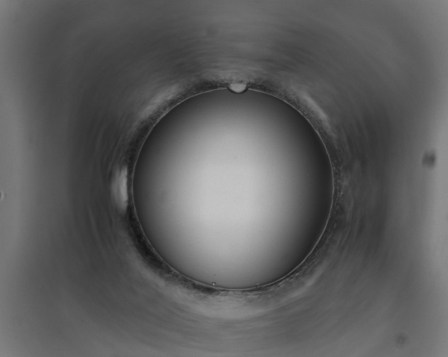 X0000094970020200712061439