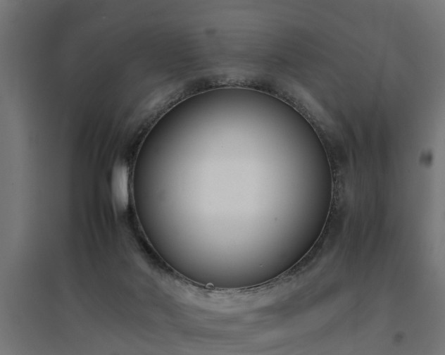 X0000094970022200712061439