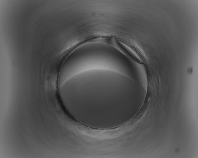 X0000094970023200712061439