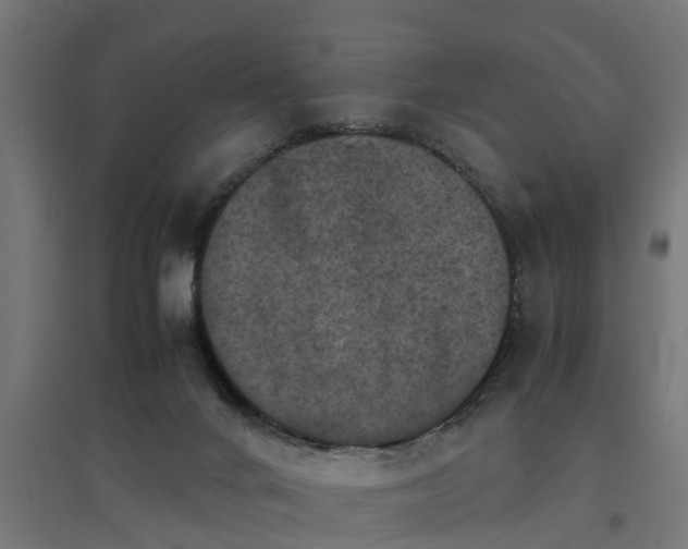 X0000094970024200712061439