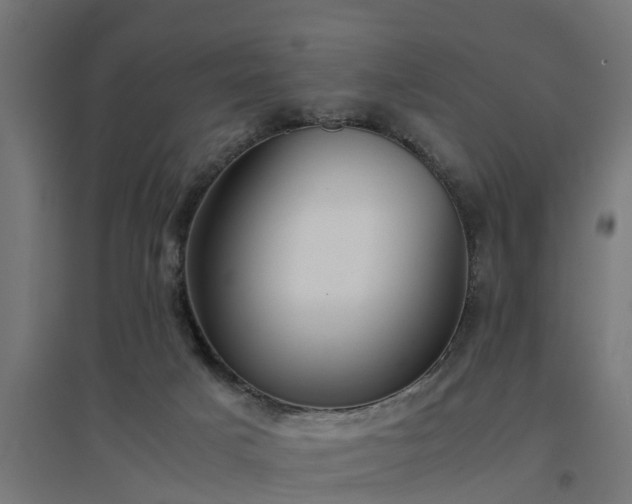 X0000094970025200712061438