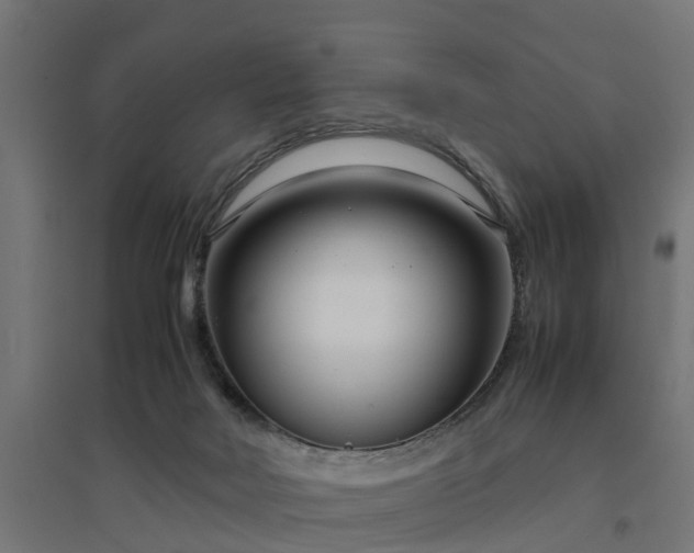 X0000094970026200712061438