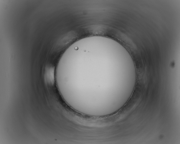 X0000094970028200712061438