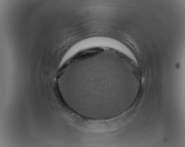 X0000094970029200712061438