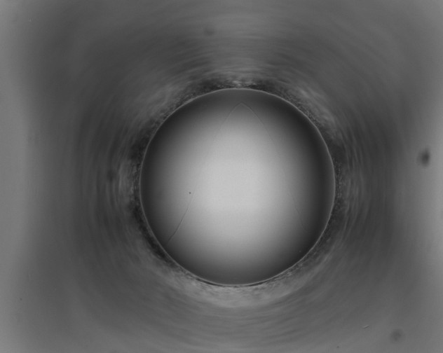 X0000094970030200712061438