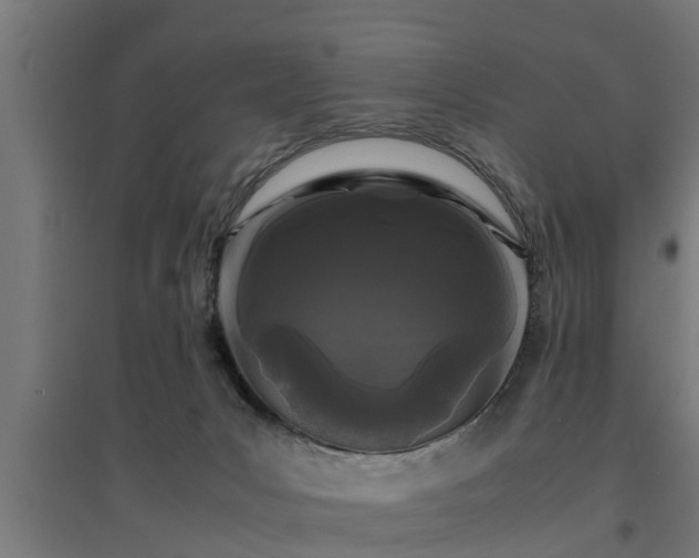 X0000094970031200712061438