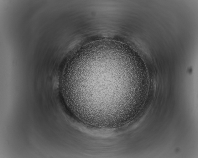 X0000094970032200712061438