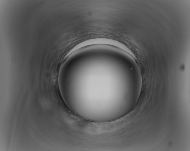 X0000094970033200712061438