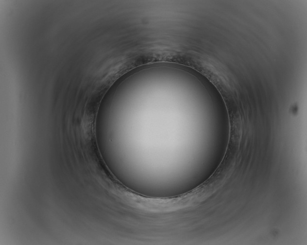 X0000094970034200712061438