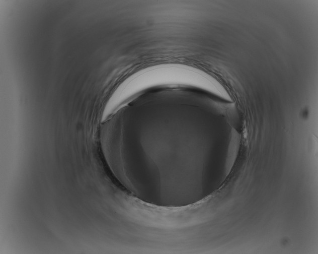 X0000094970035200712061438