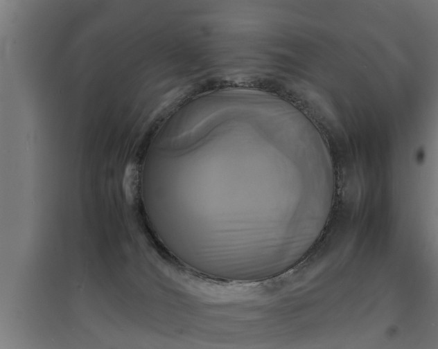 X0000094970036200712061438