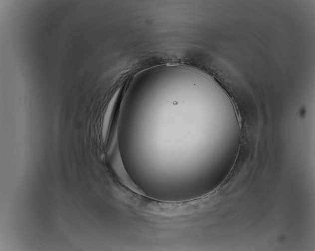 X0000094970037200712061438