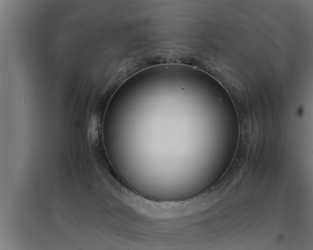 X0000094970038200712061438