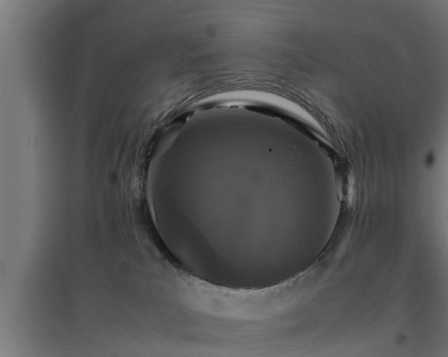 X0000094970039200712061438