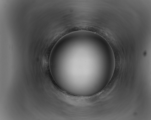 X0000094970040200712061438