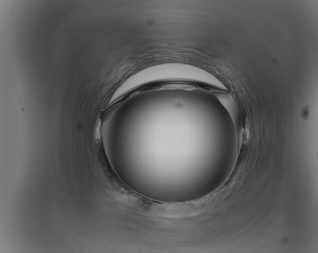 X0000094970041200712061438