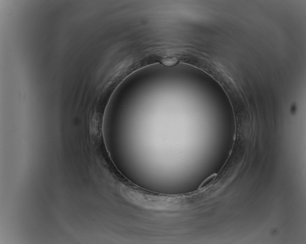 X0000094970044200712061438