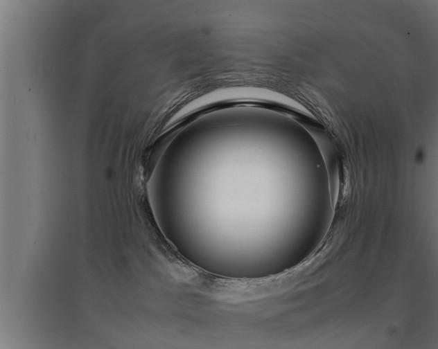 X0000094970045200712061438