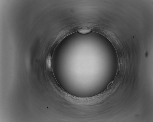 X0000094970046200712061438