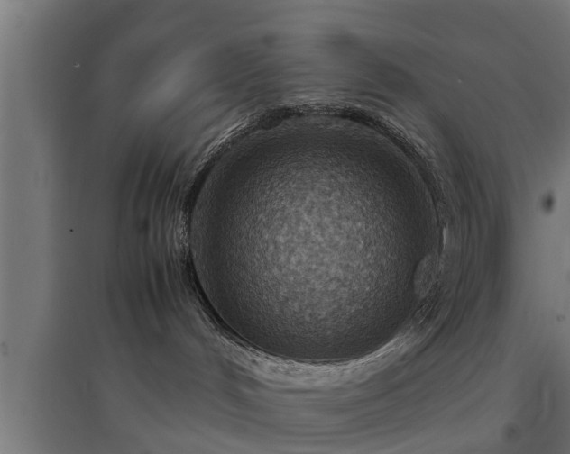 X0000094970048200712061438