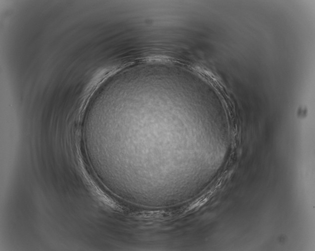 X0000094970049200712061437