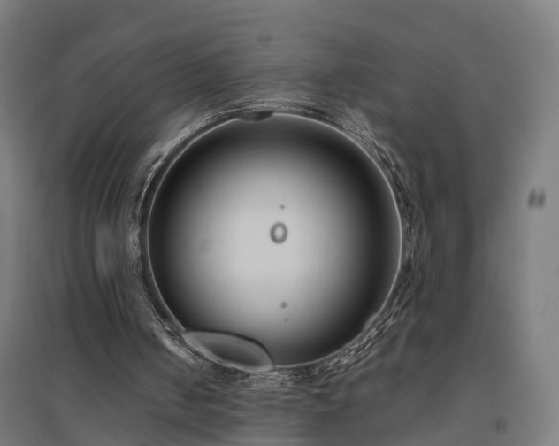 X0000094970050200712061437