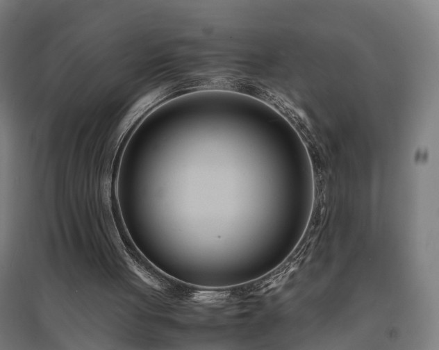 X0000094970051200712061437