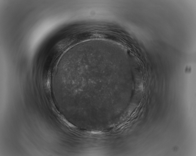 X0000094970052200712061437