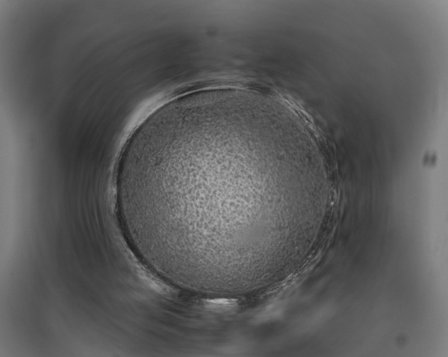 X0000094970053200712061437